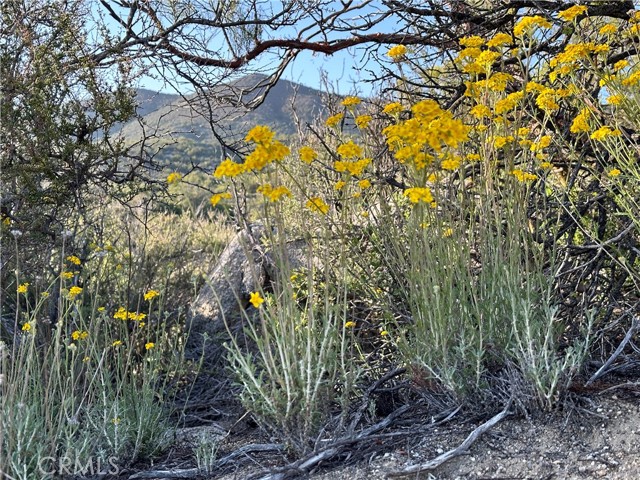 Detail Gallery Image 3 of 24 For 0 Old Stone Hill Rd, Warner Springs,  CA 92086 - – Beds | – Baths