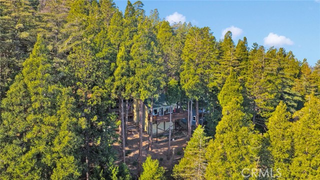 Detail Gallery Image 52 of 68 For 993 Mercury Way, Crestline,  CA 92325 - 2 Beds | 2 Baths
