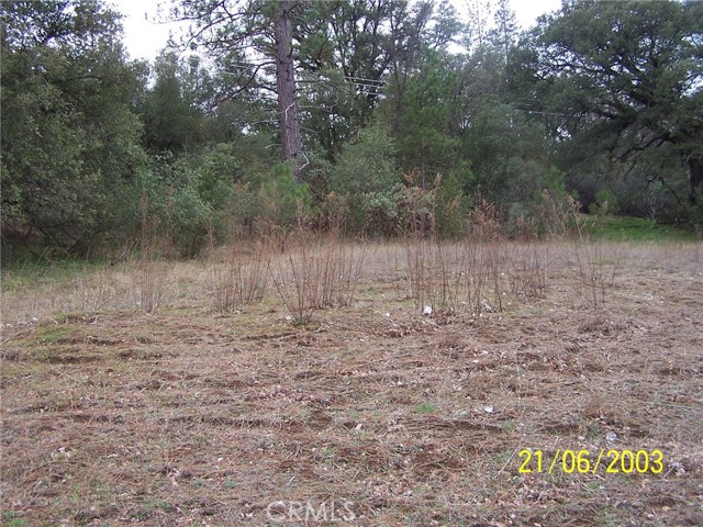 Detail Gallery Image 4 of 4 For 10 Jean Rd West, Oakhurst,  CA 93644 - – Beds | – Baths