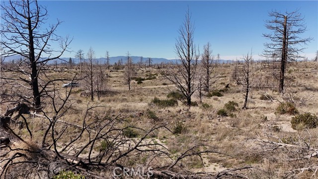 Detail Gallery Image 15 of 23 For 34 Blk 43 Lot 34 Heinzelman Dr., Montague,  CA 96064 - – Beds | – Baths