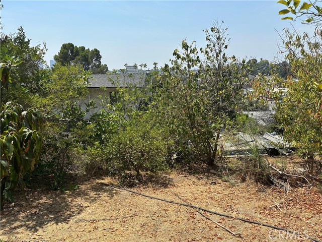 Detail Gallery Image 3 of 6 For 1941 Delta St., Los Angeles,  CA 90026 - – Beds | – Baths