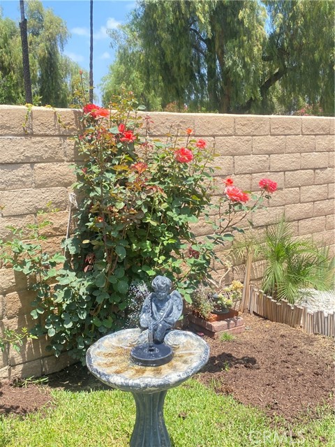 9849 Canada Way, Riverside CA: https://media.crmls.org/medias/8f3d7854-dd42-40c5-a4ac-b9c4c1d3b33b.jpg