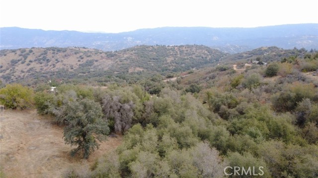 Front Image Thumbnail for CRFR26189415