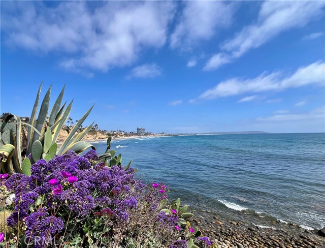 5363 La Jolla Boulevard, La Jolla CA: https://media.crmls.org/medias/8f455c8f-87bf-4acc-857c-2916ae879503.jpg