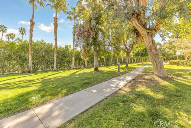 Detail Gallery Image 33 of 37 For 48792 Desert Flower, Palm Desert,  CA 92260 - 2 Beds | 2 Baths