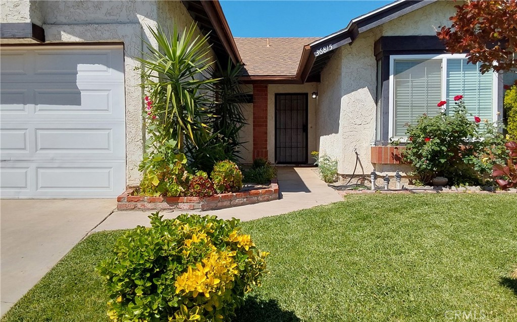 36815 Spanish Broom Drive