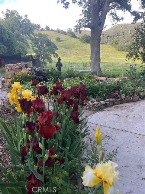 29503 Spence Lane, Tollhouse CA: https://media.crmls.org/medias/8f4625d1-0af0-4a75-9542-f5ee515af95f.jpg