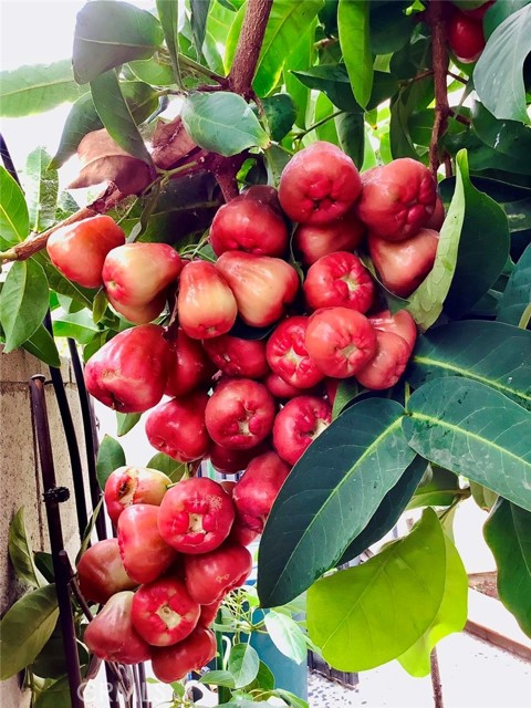 Detail Gallery Image 20 of 39 For Address Is Not Disclosed, Gardena,  CA 90249 - 5 Beds | 4 Baths