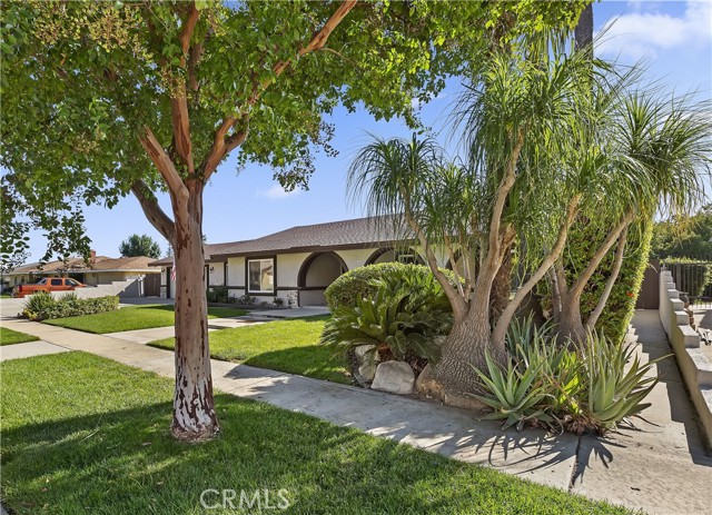 Image 3 for 8055 Orchard St, Rancho Cucamonga, CA 91701