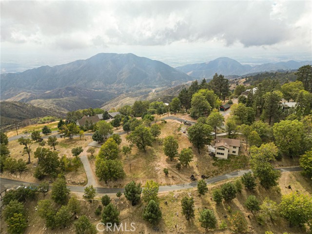 Front Image Thumbnail for CRIG25235731