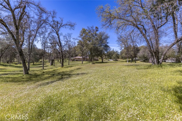 Detail Gallery Image 72 of 75 For 3587 Quail Ridge Dr, Mariposa,  CA 95338 - 4 Beds | 2/1 Baths