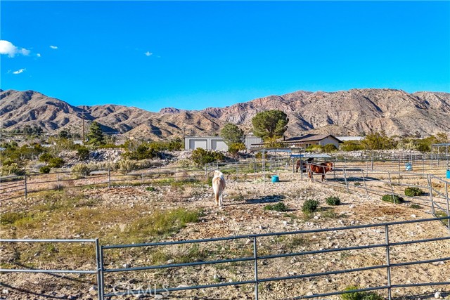 Detail Gallery Image 37 of 49 For 8949 Desert Willow Trl, Morongo Valley,  CA 92256 - 3 Beds | 2 Baths