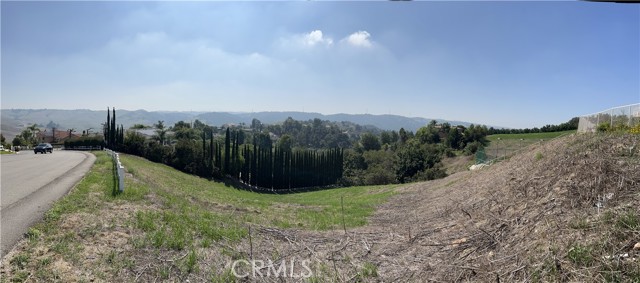 2182 Indian Creek Road, Diamond Bar, California 91765, ,Land,For Sale,2182 Indian Creek Road,CRTR23178457