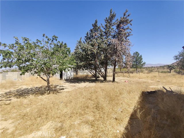 Detail Gallery Image 17 of 21 For 8043 Mojave Tropico Rd, Mojave,  CA 93501 - 3 Beds | 2/1 Baths