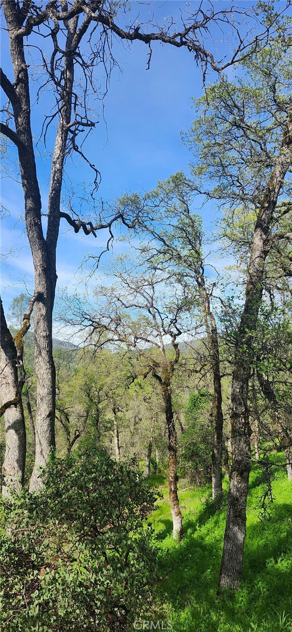 Detail Gallery Image 22 of 23 For 13566 Helltown Parcel 1, Chico,  CA 95928 - – Beds | – Baths