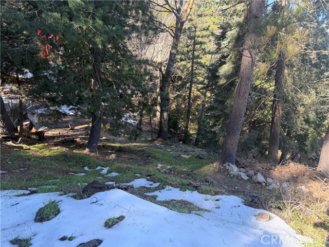 Detail Gallery Image 9 of 20 For 24989 Highland, Crestline,  CA 92325 - – Beds | – Baths