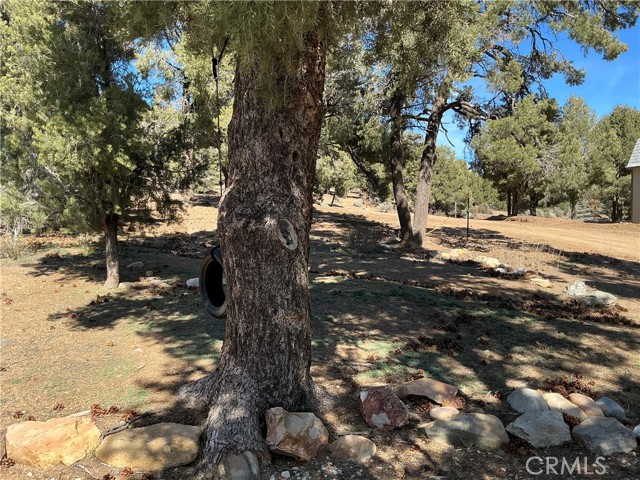 Detail Gallery Image 6 of 17 For 1960 Baldwin Lake, –,  CA 92314 - 2 Beds | 1 Baths