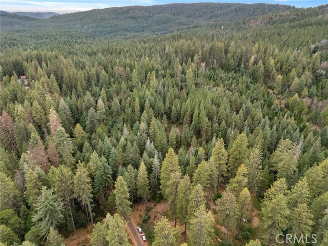 Front Image Thumbnail for CRSN25271191