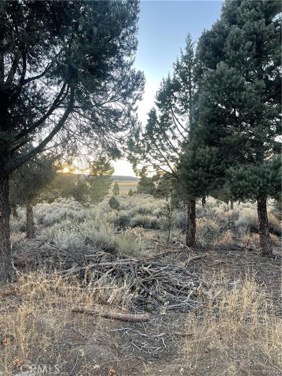 0 Baldwin, Big Bear City CA: https://media.crmls.org/medias/8f70d1b8-14a9-477f-bab7-7fbbe7f75f42.jpg