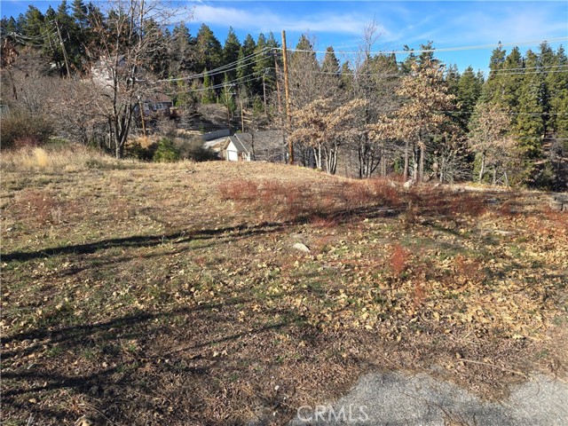 Front Image Thumbnail for CRIG25277030