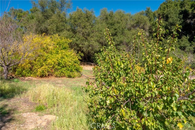 Detail Gallery Image 13 of 17 For 0 via Tornado, Temecula,  CA 92590 - – Beds | – Baths