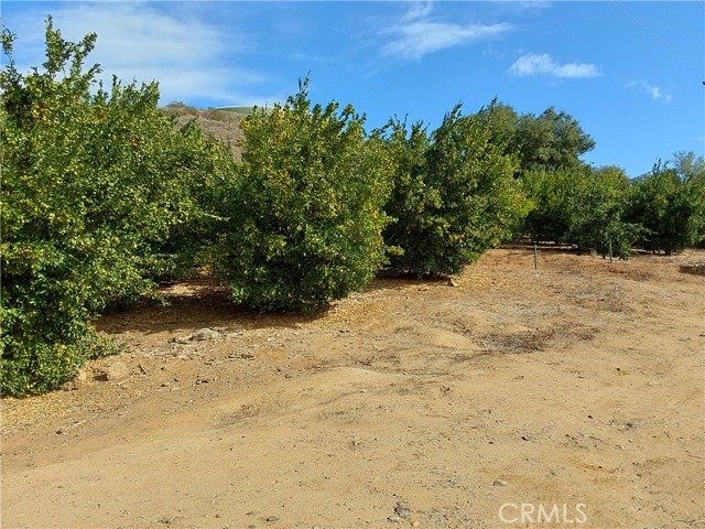 Detail Gallery Image 8 of 38 For 3 via Vaquero, Temecula,  CA 92590 - – Beds | – Baths