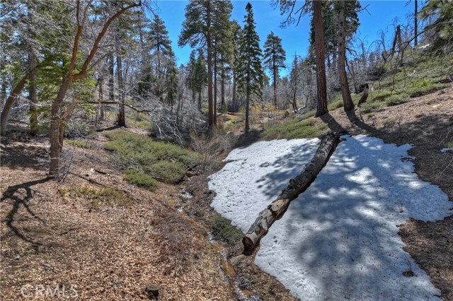 Detail Gallery Image 6 of 33 For 33796 Cedar Pines Ln, Green Valley Lake,  CA 92341 - 2 Beds | 1 Baths