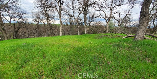 Detail Gallery Image 5 of 16 For 15842 S Mendocino, Corning,  CA 96021 - – Beds | – Baths