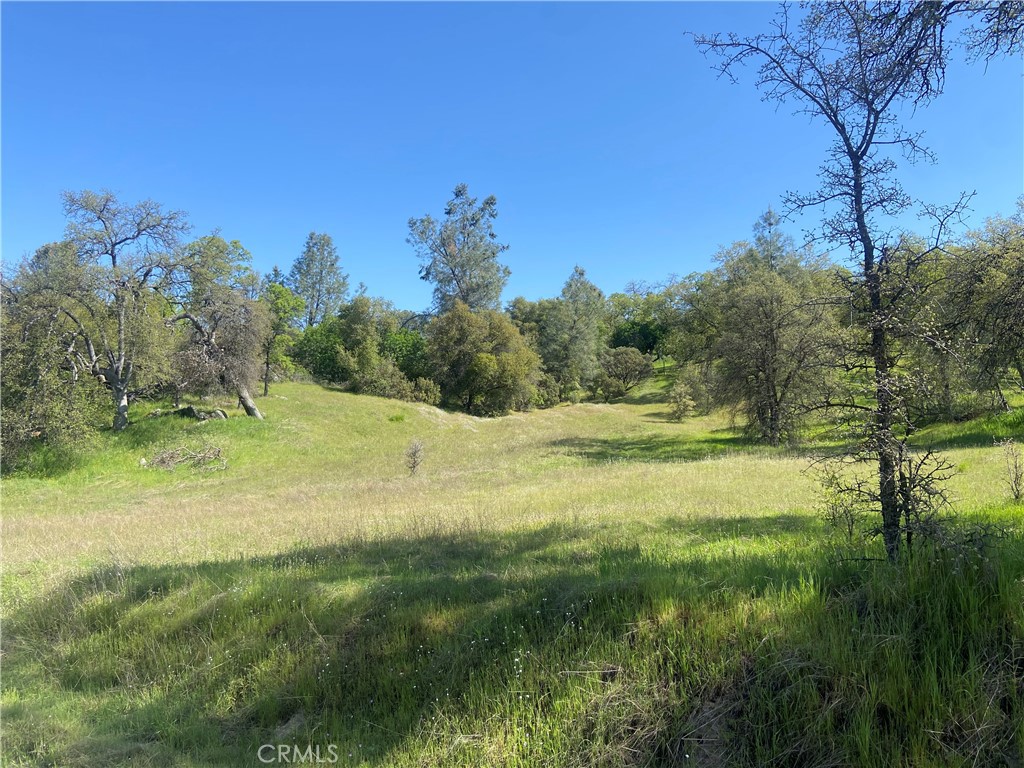 MLS #MP25073835 image #6