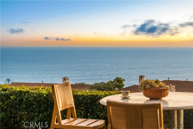24 Scenic Bluff, Newport Coast CA: https://media.crmls.org/medias/8f8c3e45-26fe-4c7e-b0f2-915d672989df.jpg