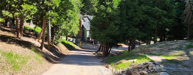 29164 South Lane, Cedar Glen CA: https://media.crmls.org/medias/8f8f87d5-c4b2-4dd7-8ca5-a9f38aea57b8.jpg