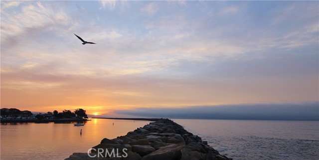Detail Gallery Image 51 of 60 For 24902 Sea Crest, Dana Point,  CA 92629 - 3 Beds | 2/1 Baths