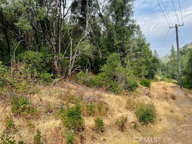 Detail Gallery Image 5 of 10 For 10 Ac Miller Rd / Old Hwy, Mariposa,  CA 95338 - – Beds | – Baths