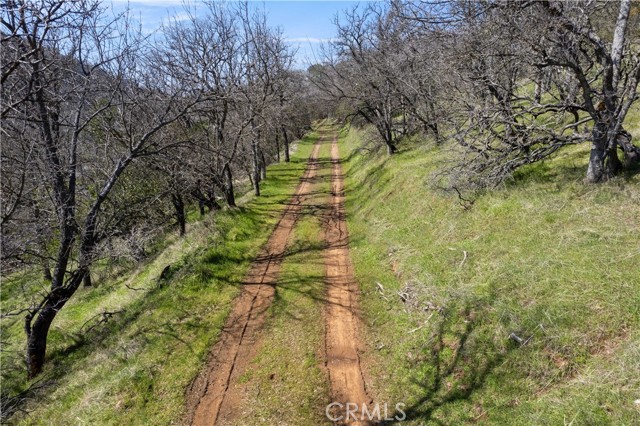 8250 Little Borax Lake Road, Kelseyville, California 95451, ,Land,For Sale,8250 Little Borax Lake Road,CRLC23183582