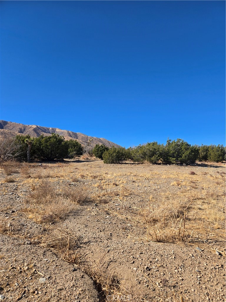 MLS #IG25037440 img 1