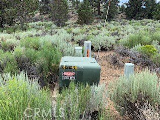 0 Ponderosa, Big Bear City, California 92314, ,Land,For Sale,0 Ponderosa,CROC20150732