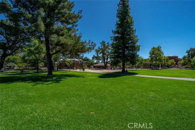 Detail Gallery Image 59 of 65 For 442 Oak Street, Paso Robles,  CA 93446 - 2 Beds | 1 Baths