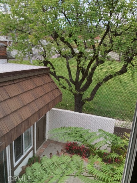 10065 Larwin, 5 photo 4