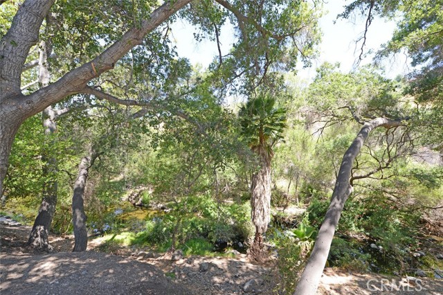 Detail Gallery Image 47 of 73 For 84 Sherwood Dr, Westlake Village,  CA 91361 - 3 Beds | 2 Baths