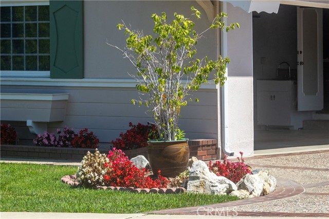 Front yard by entrance to garage.
