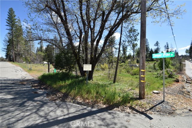 Detail Gallery Image 10 of 17 For 6 Sugar Pine, Berry Creek,  CA 95916 - – Beds | – Baths