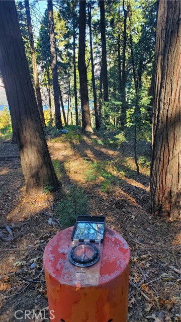 Detail Gallery Image 29 of 35 For 26 Peak Circle, Crestline,  CA 92322 - – Beds | – Baths