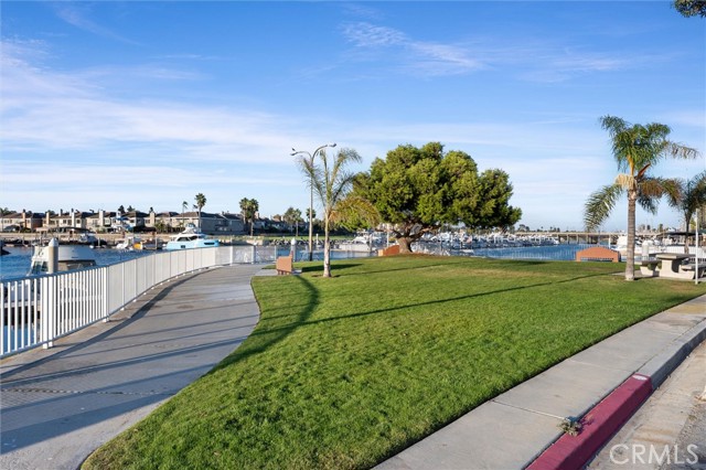 Waterfront Dog Park a Short Walk Outside the Front Door