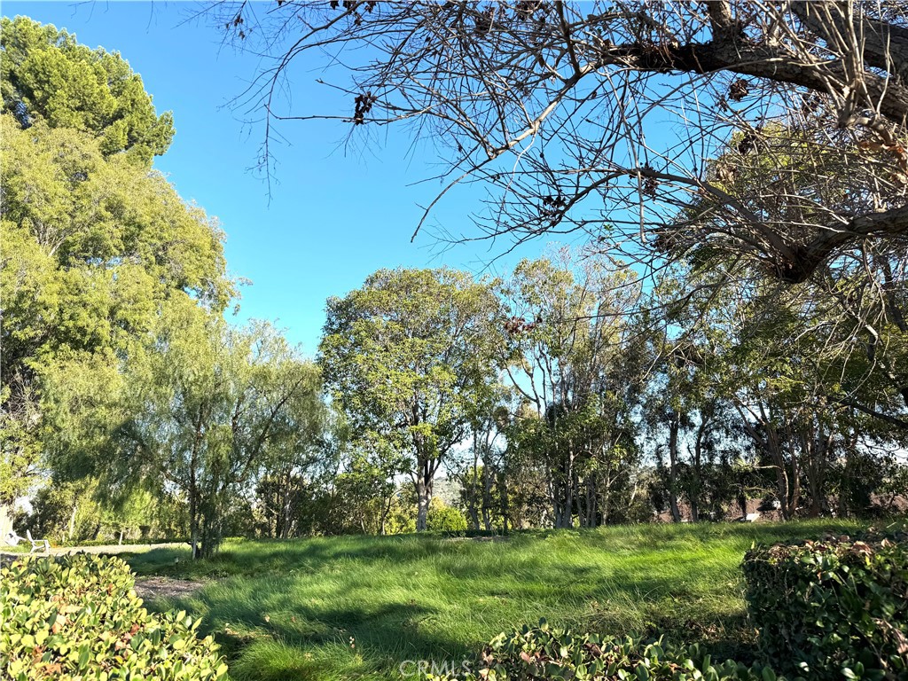 MLS #PW25273327 image #32