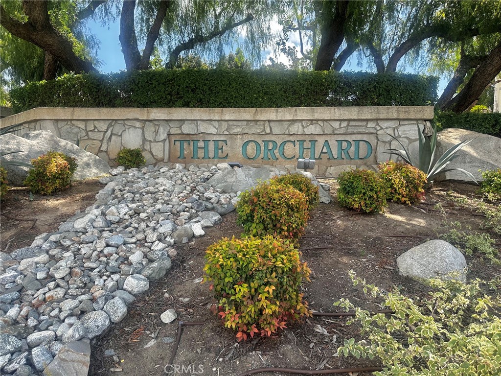 11056 Orchard View Lane
