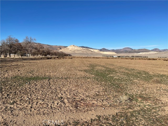20028 Tehachapi Willow Springs Rd, Tehachapi CA: https://media.crmls.org/medias/8fcf8cd3-79bc-49f8-a5ea-21927bfd8aab.jpg
