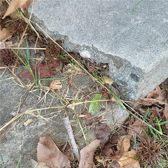 Cracks in the patio slab.