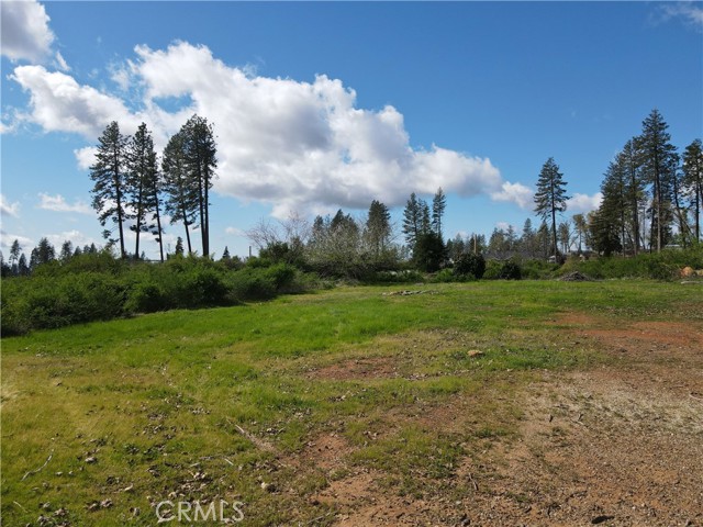 Image 5 of 20 For 6291 Harvey  