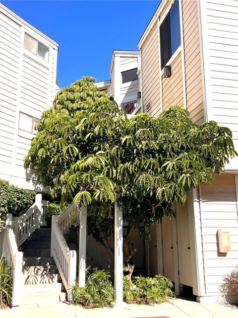 Detail Gallery Image 4 of 5 For 4900 N Grand Ave #150,  Covina,  CA 91724 - 1 Beds | 1 Baths