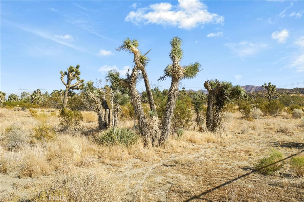 https://media.crmls.org/medias/8fd3eb28-8684-42f3-8ac0-a77725b042c7.jpg?preset=X-Large